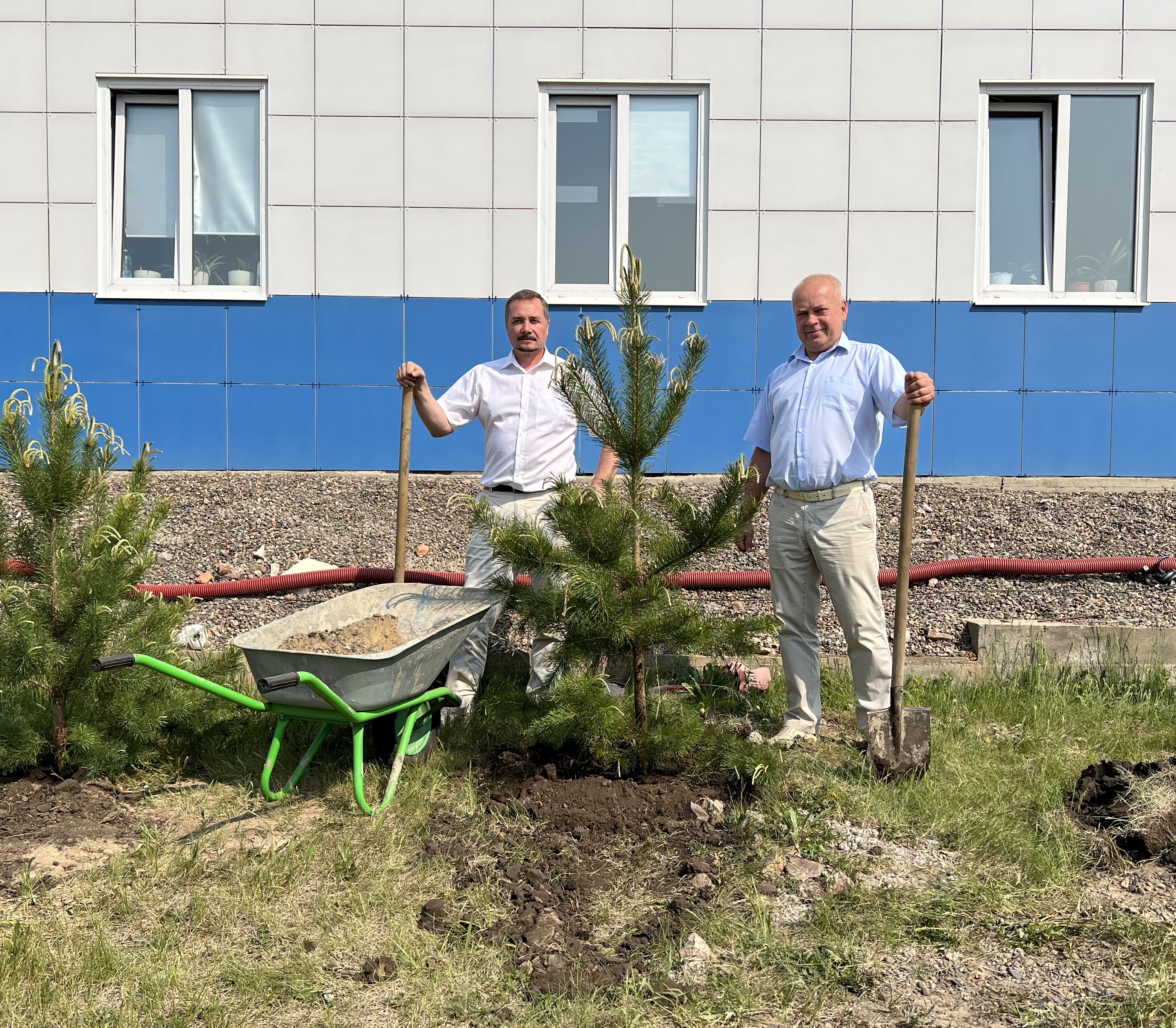 Благоустройство и озеленение территории головного офиса компании в г.Красноярск